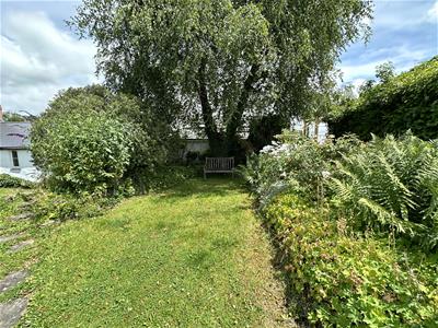 Picture 19